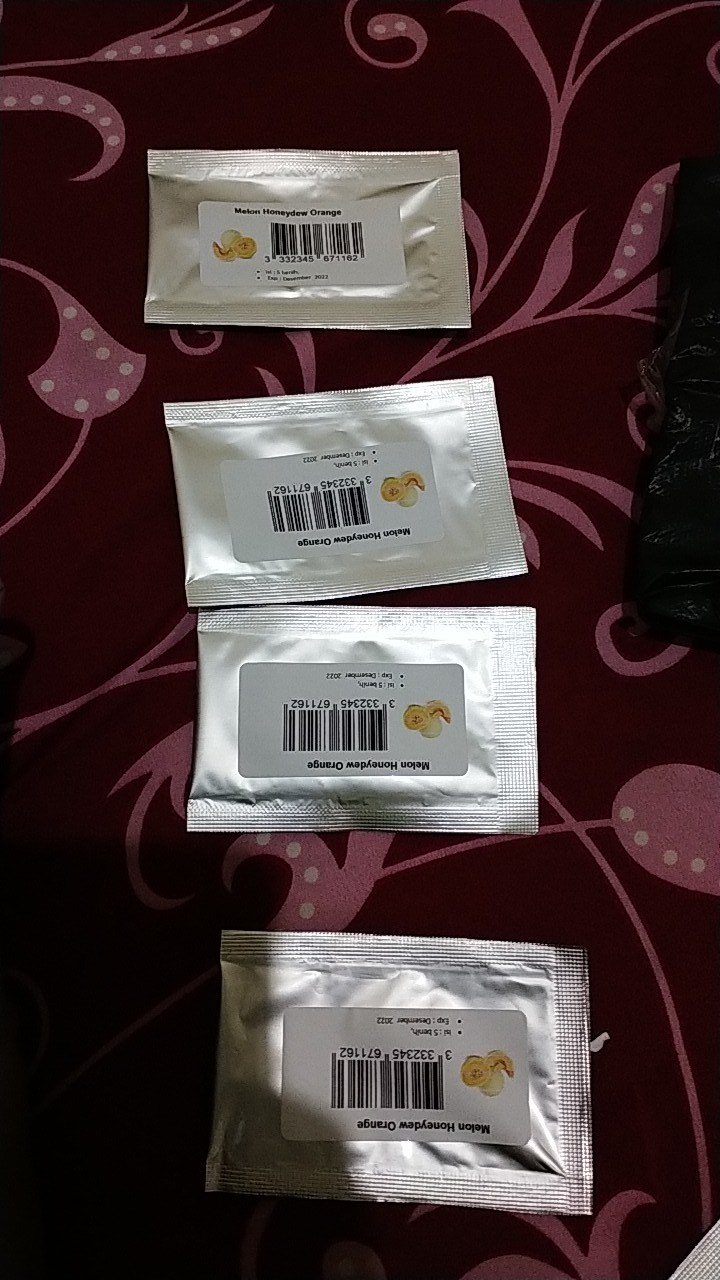 Melon Honeydew Orange 10 Benih