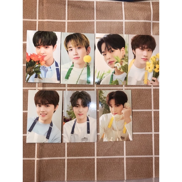 photocard (pc) binder blooming treasure / POB weverse junghwan / rpc yoshi
