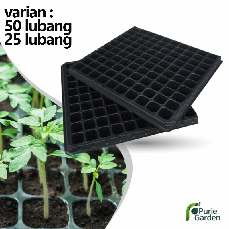 Tray Semai Pot Tray Penyemaian Bibit Tanaman 50 &amp; 25 Lubang PG SBY