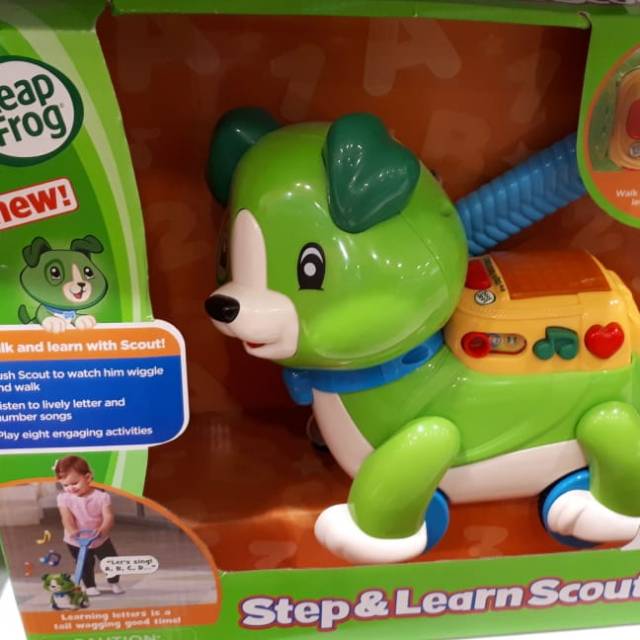 step and learn scout