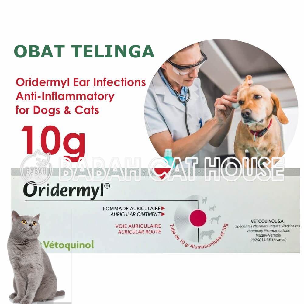 ORIDERMYL Obat Anti Kutu Bakteri Jamur Telinga Anjing Kucing Earmites Vet Vetoquinol Untuk Kitten Pu