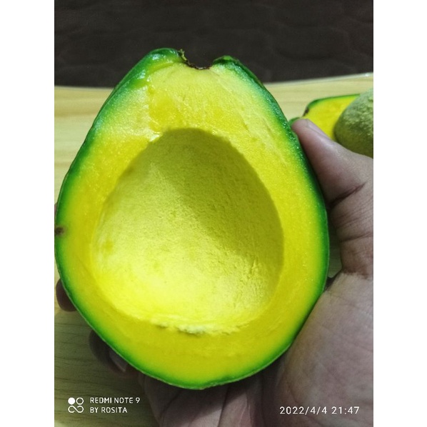 

Buah Alpukat MIKI 1KG Super Murah untuk mpasi, diet,darah tinggi, kolesterol, diabetes