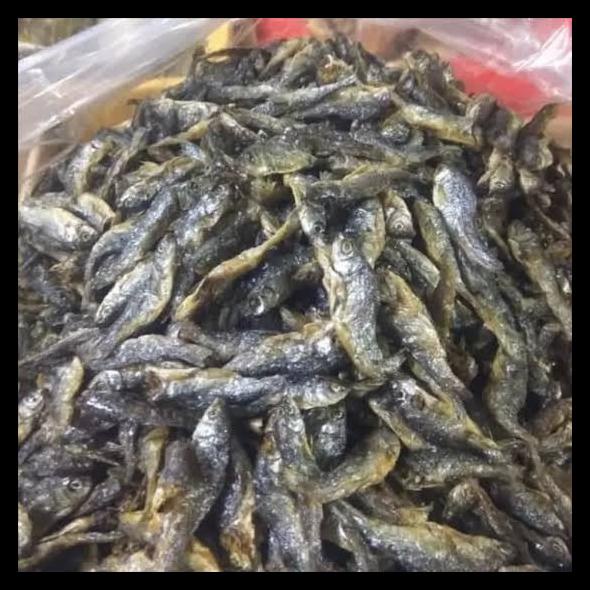 

DISKON TERBATAS !!! IKAN BILIH DANAU SINGKARAK 1 KG TERLARIS