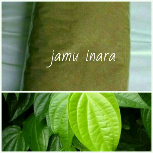 

DAUN SIRIH BUBUK 250GR