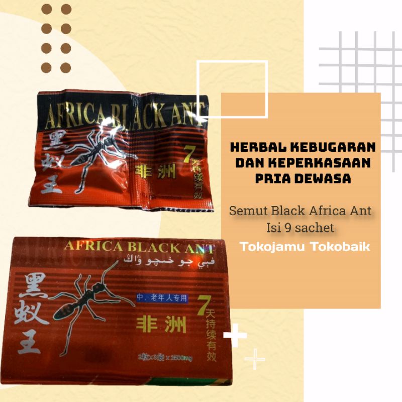 Termurah Kapsul Semut Black Ant Afrika Asli isi 9 sachet