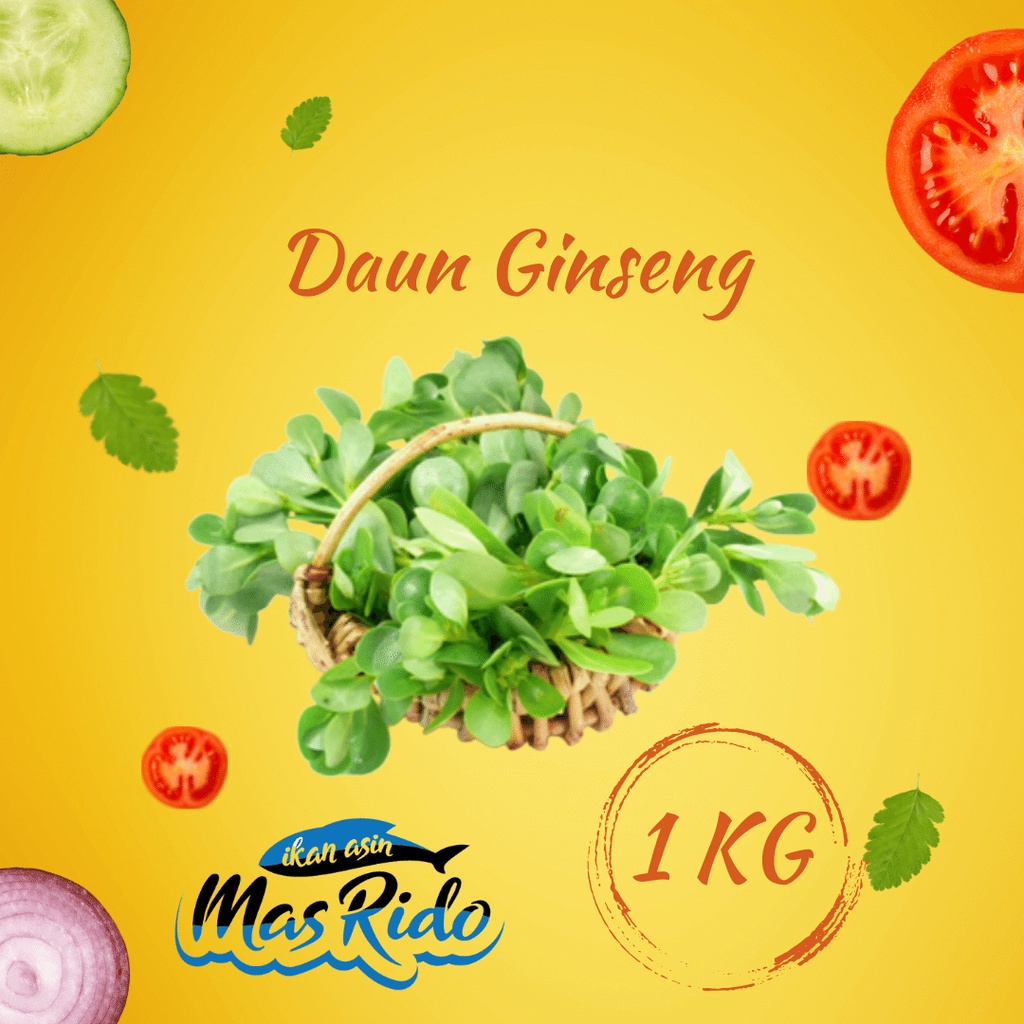 

Daun Ginseng 1 Kg Gingseng Sayur Segar