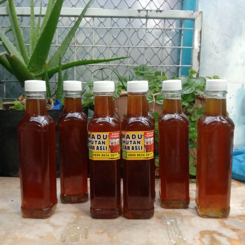 

Madu Hutan Liar Mentah Asli (250 ml)