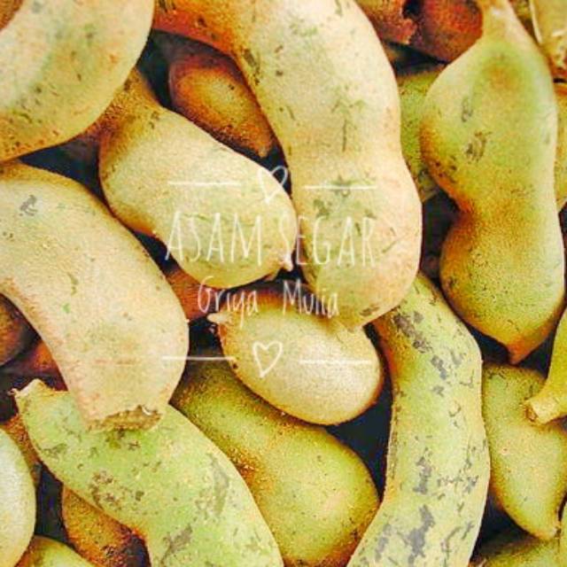 

Asam segar 500 gr - Asam jawa mentah / Asam jawa muda
