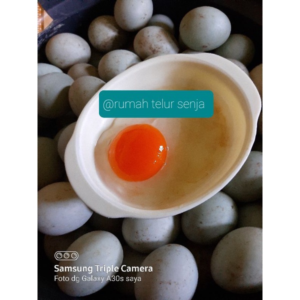 

telur bebek