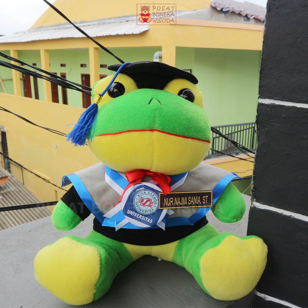 Boneka Wisuda Keropi Hijau Kodok Karopi Kerropi Karropi Kado Graduation Hadiah Murah Foto Karakter