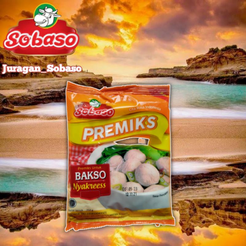 

Tepung Instan Bakso Premiks Nyakress Sobaso 250 gram