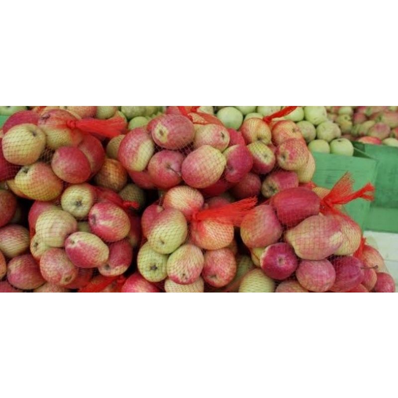 

Buah Apel Anna Kota Batu 3 kg