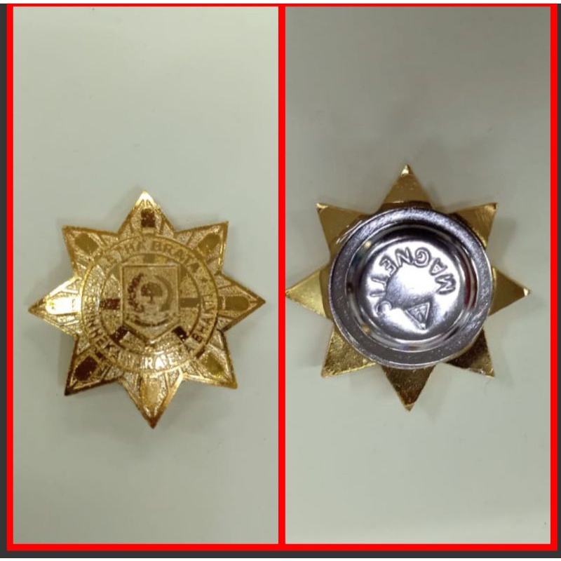PIN IPDN /PIN ASTA BRATA /BROS IPDN /BROS ASTA BRATA /PIN PURNA IPDN