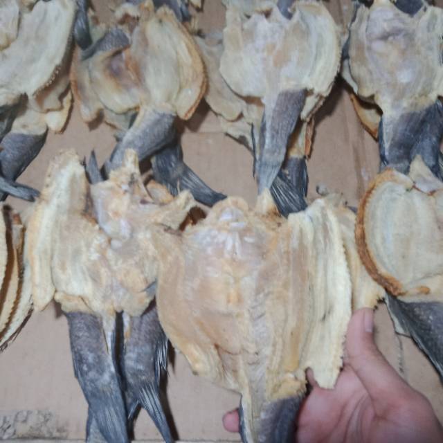 Ikan Asin Gabus Garih Haruan Kalimantan 1kg