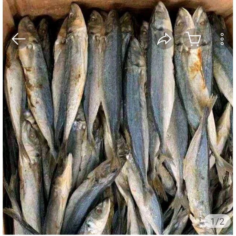 

ikan asin japu layang 500gr