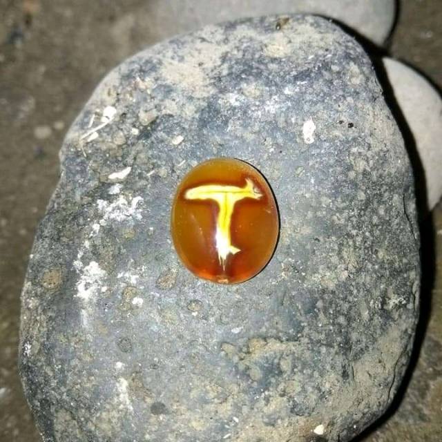 

Mustika Braja Jalak