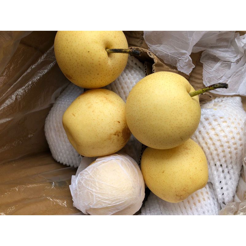 

buah pir