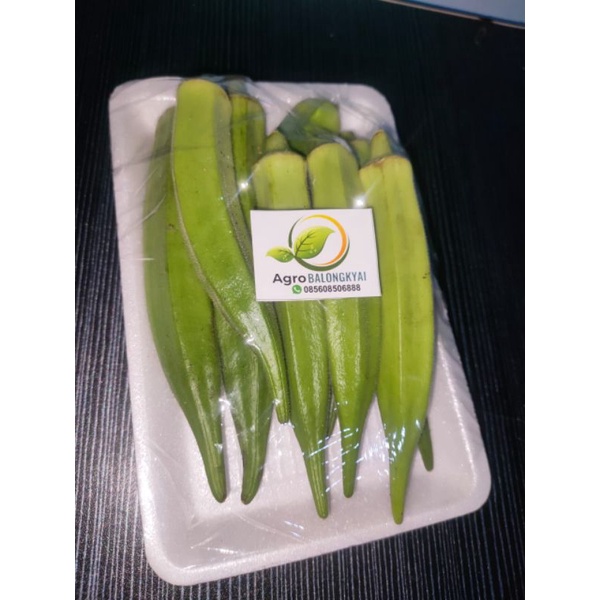 

SAYUR OKRA/BENDI HIJAU | AGRO BALONGKYAI