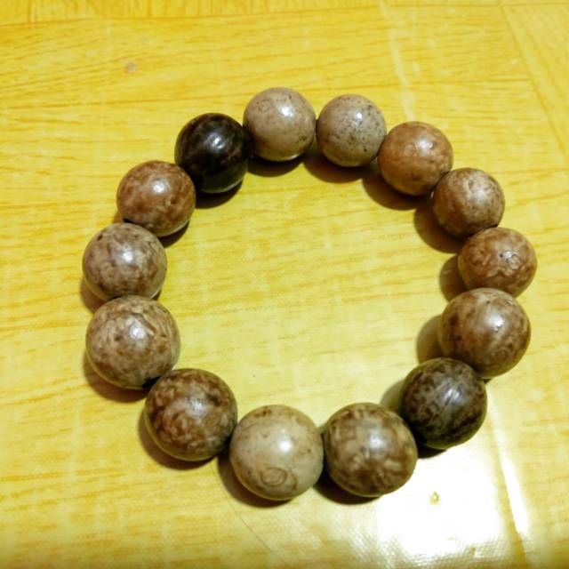 Gelang biji gebang