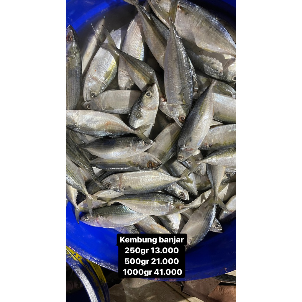 

IKAN KEMBUNG BANJAR/SEAFRESH