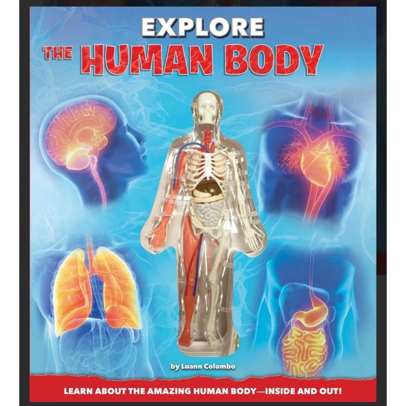 EXPLORE"THE HUMAN BODY"LEARN ABOUT THE AMAZING HUMAN BODY-INSIDE AND OUT