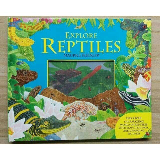 Explore reptiles