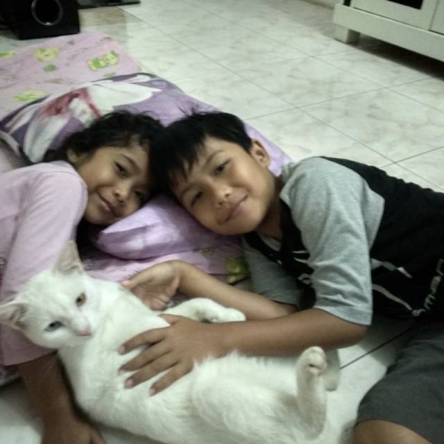 davidbayumihanto