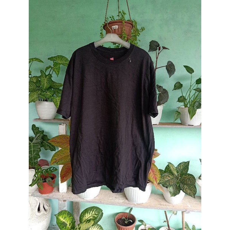 Vintage Koas Hanes second