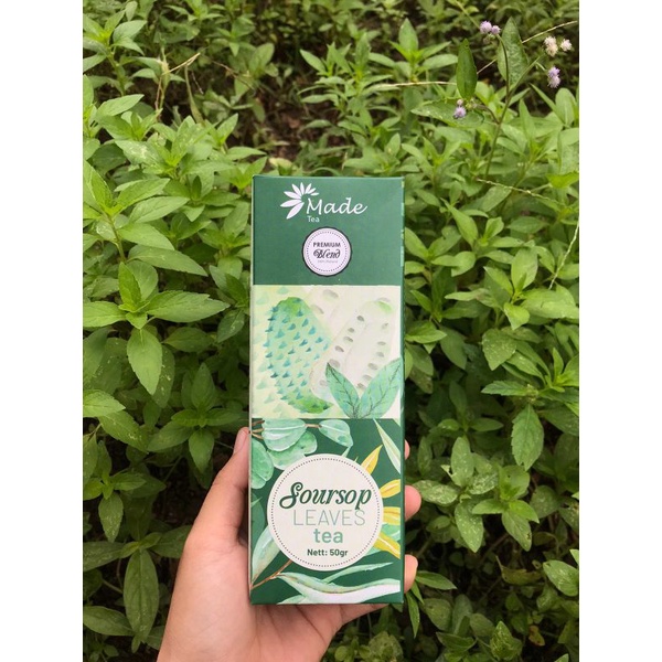 

SOURSOP LEAVES TEA (Teh Daun Sirsak)