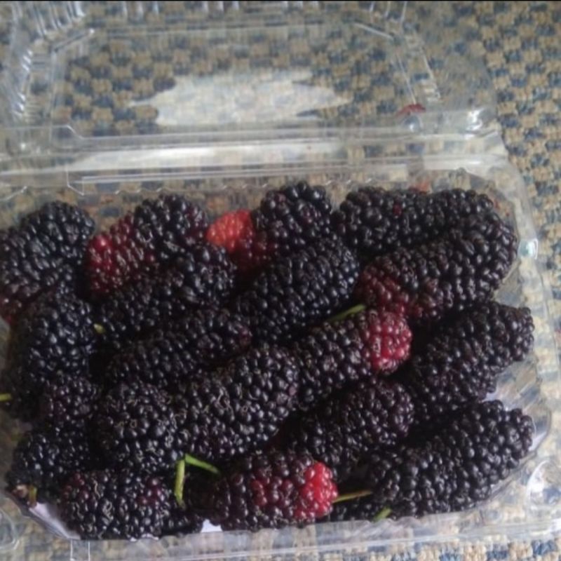 

Blackberry fresh 500gr