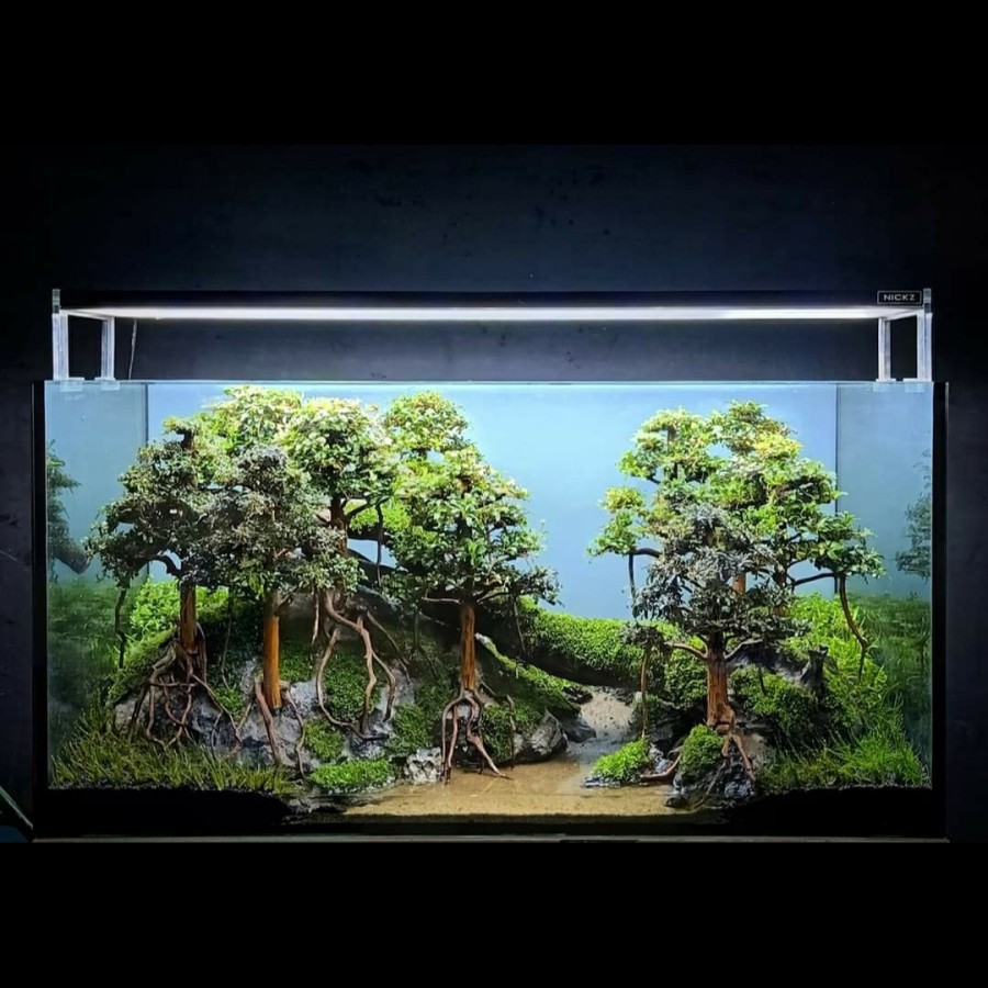 Nickz Aquascape Natural Bonsai Fullset