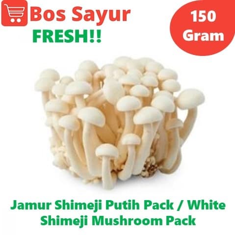 

Jamur Shimeji Putih Pack / White Shimeji - Bos Sayur - 150 Gram