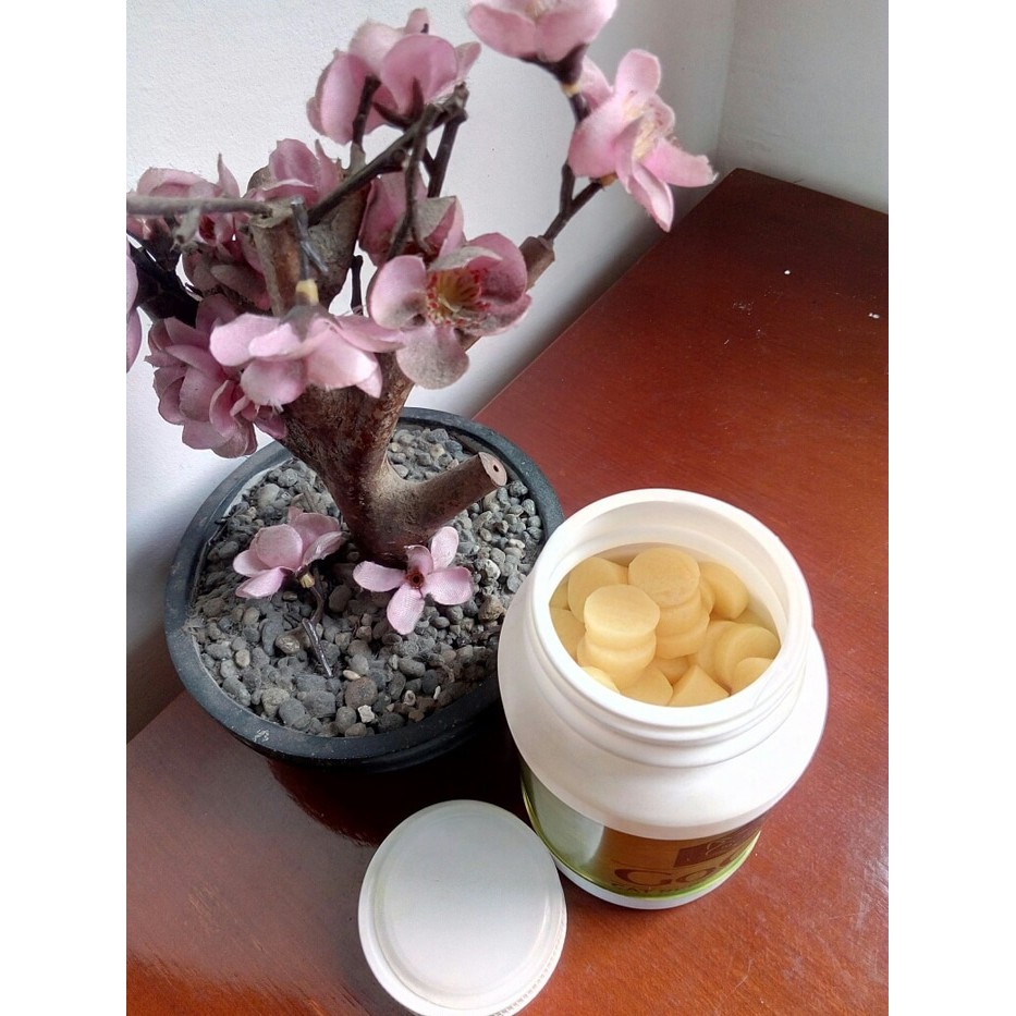 Pengusir Kucing Ampuh Natural GoCat Gel 350 Gram