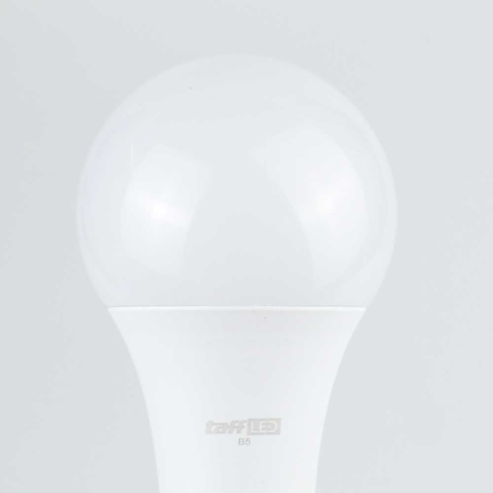 TD-DHA TaffLED Lampu Bohlam RGB dengan Remote Control E27 10 W - B5