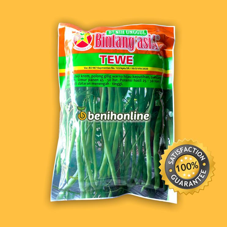 BENIH BUNCIS - TEWE – BINTANG ASIA – 500 GRAM