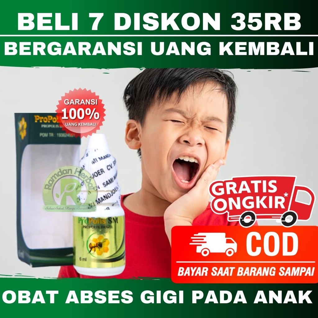 Obat Abses Gigi Pada Anak Abses Gusi Pada Anak Sakit Gigi Pada Anak Propolis SM HALAL & Sudah BPOM