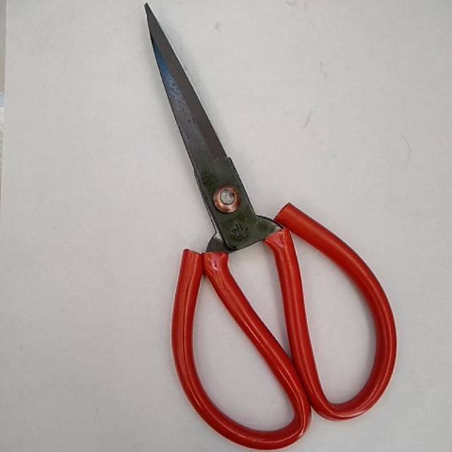 

Gunting Kodok Merah 8