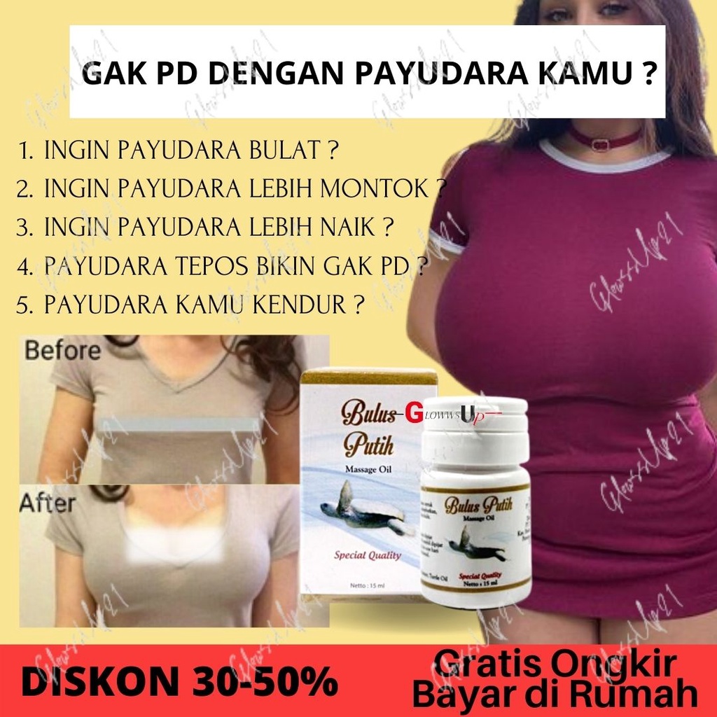 MINYAK BULUS - PEMBESAR PAYUDARA - KESEHATAN - Bulus Putih Massage Oil / Minyak Bulus BPOM Original