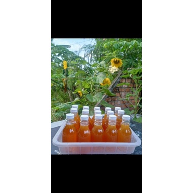 

madu lebah trigona