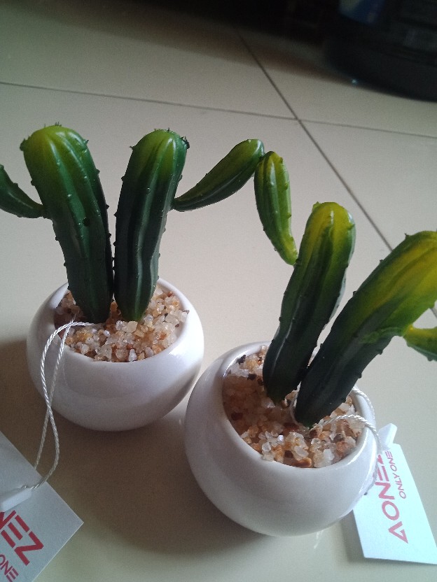 Homes Mystery Box (1 Jenis Produk)