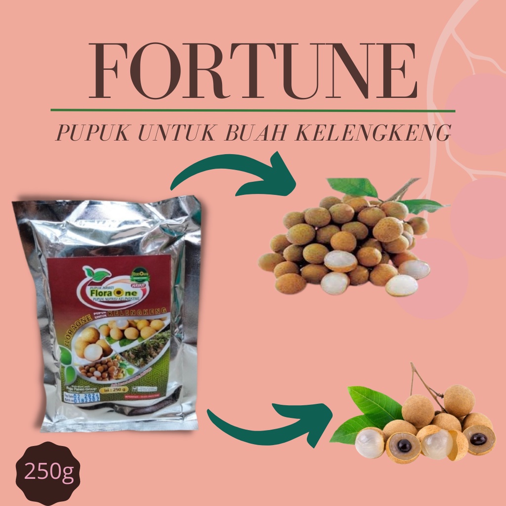 booster kelengkeng terbaik, booster kelengkeng itoh, booster kelengkeng new kristal, booster buah ke