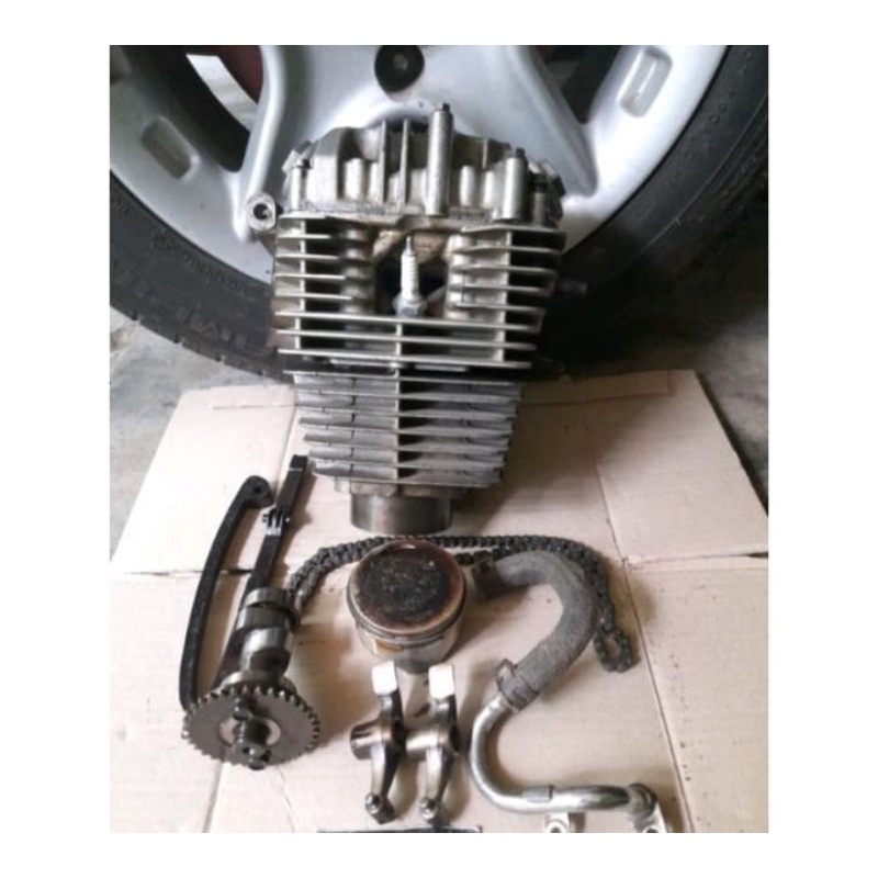 Blokop Buringkop burkop Blokhead Tiger revo sett isi Original