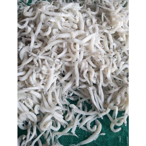 

Teri nasi medan rebus