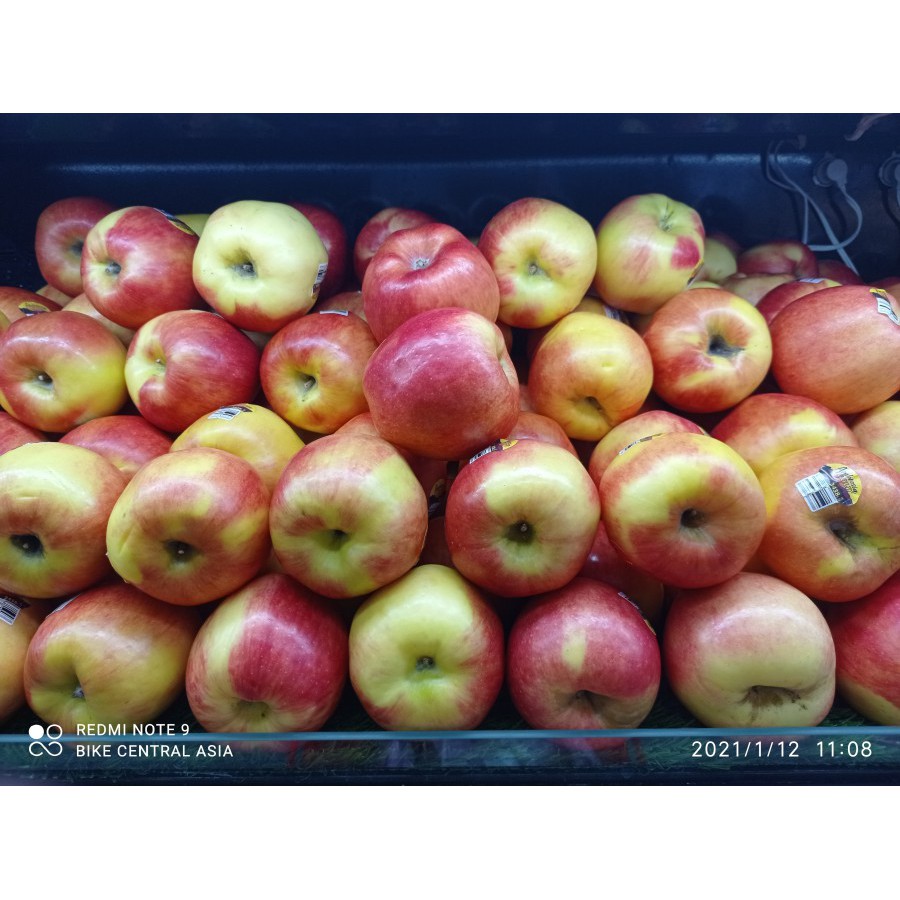 

APEL AMBROSIA USA PER KG