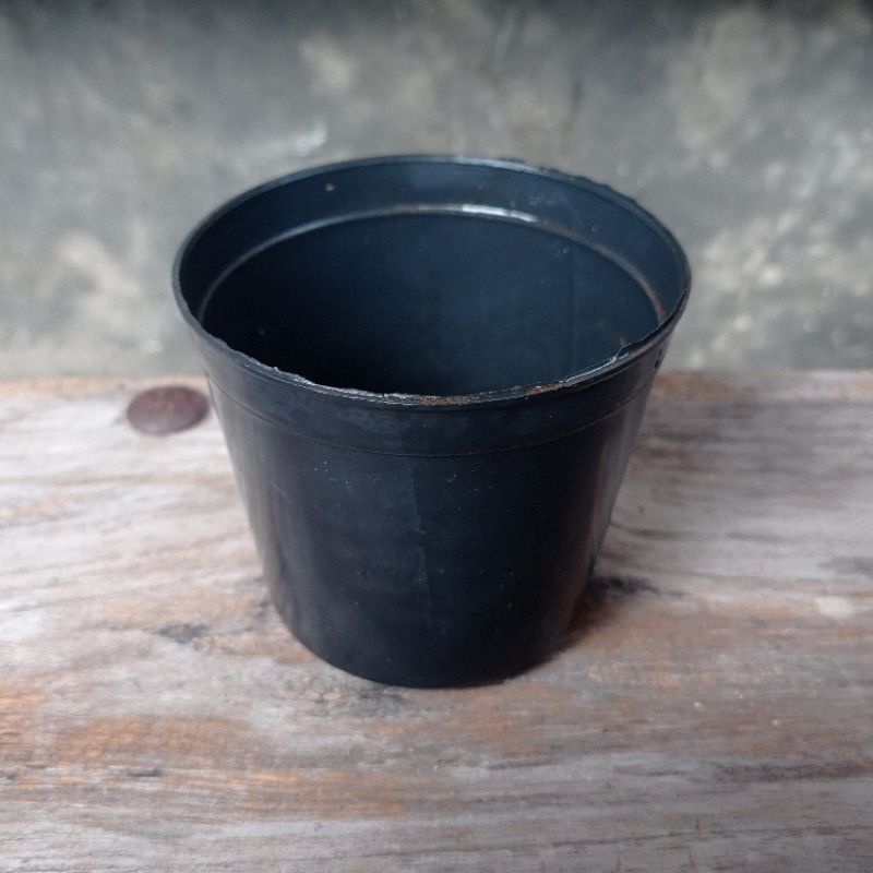 Pot Kecil 8 cm