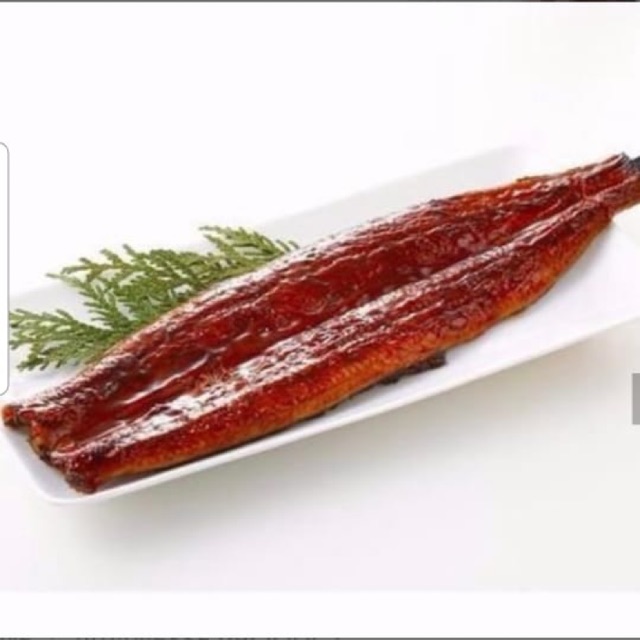

unagi kabayaki premium