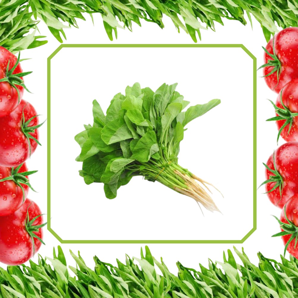 

sayuran segar bayem segar fresh murah 1 iket