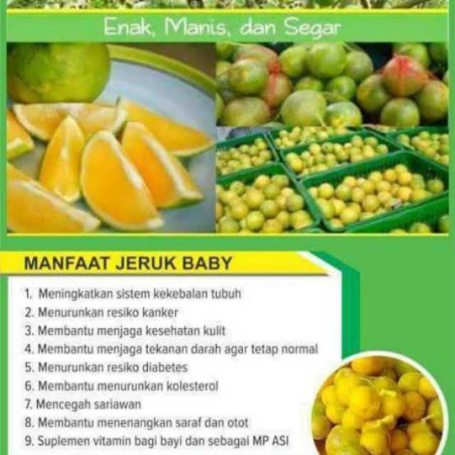 Jeruk Peras Manis Baby Java Malang Kaya Akan Vitamin C Tinggi Shopee Indonesia