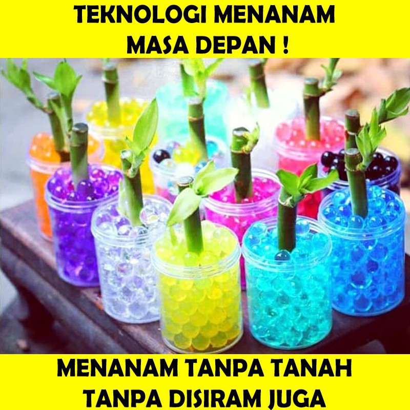 Tanaman Hias Jelly Farm Media Tanaman Haju / Otaboru / Nutrisi Tanaman Hias