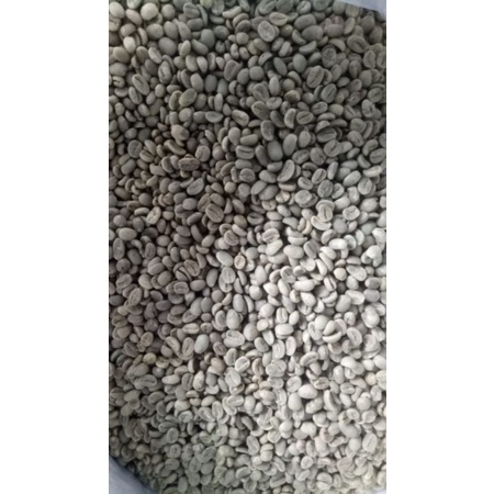 

Kopi Arabika Malabar Fully Washed Green Beans